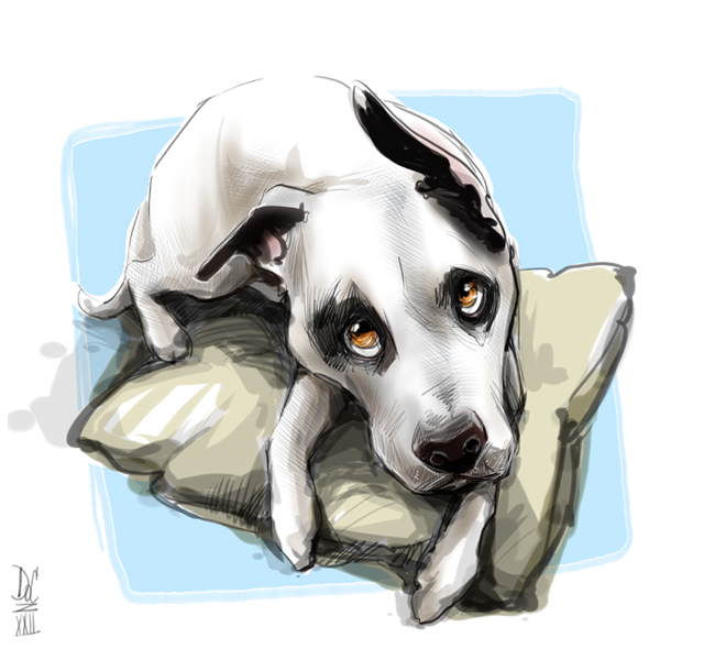 Madrid Spain Caricature Artists